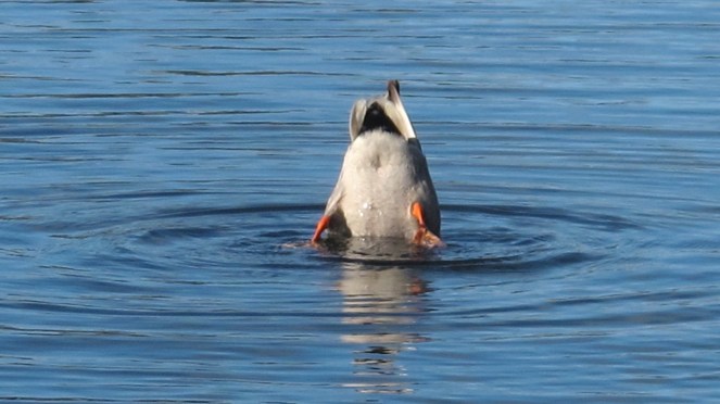 Invert your thinking