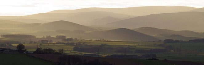 Cheviots from Corbys
