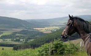 Horses-Head-and-Tweed-Trail
