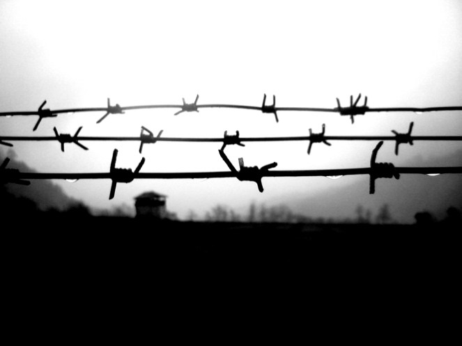 Barbed fence