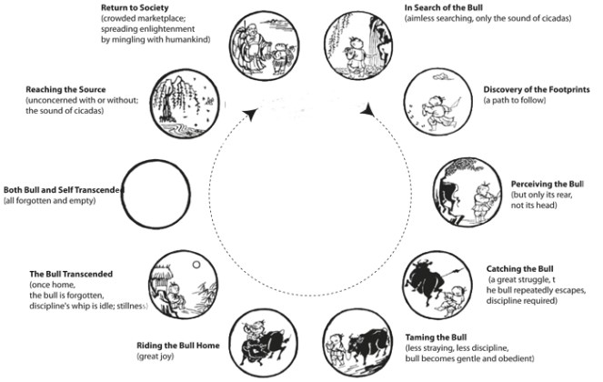 Ox Herding Pictures full cycle